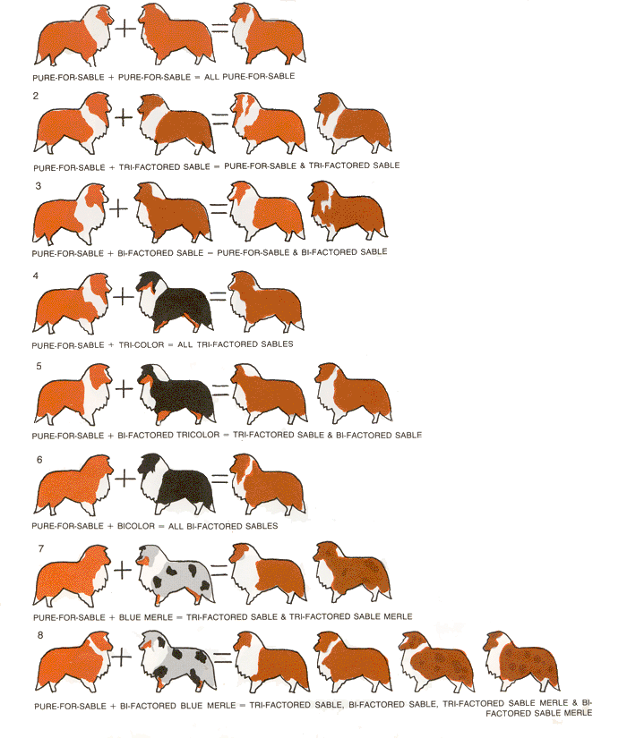 kleurvererving-schema-01