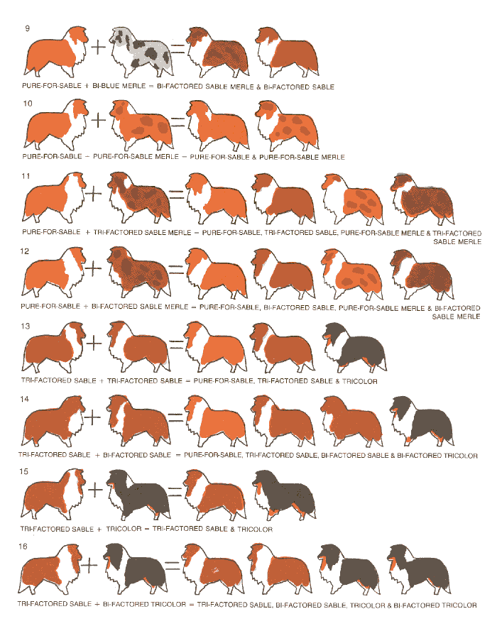 kleurvererving-schema-02