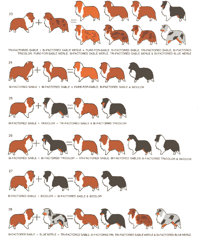 kleurvererving-schema-04