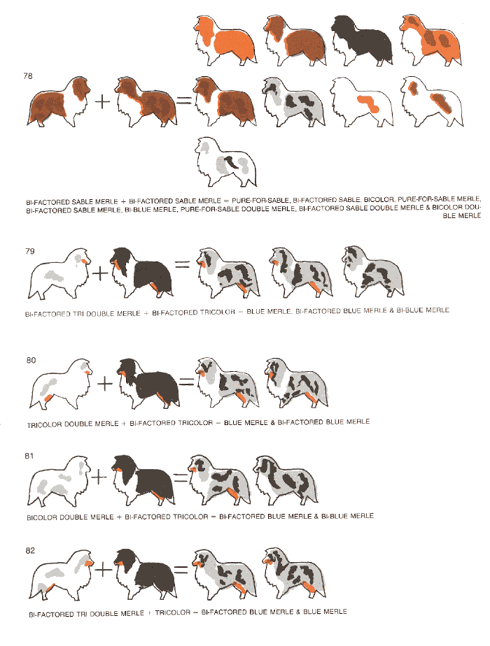 kleurvererving-schema-14