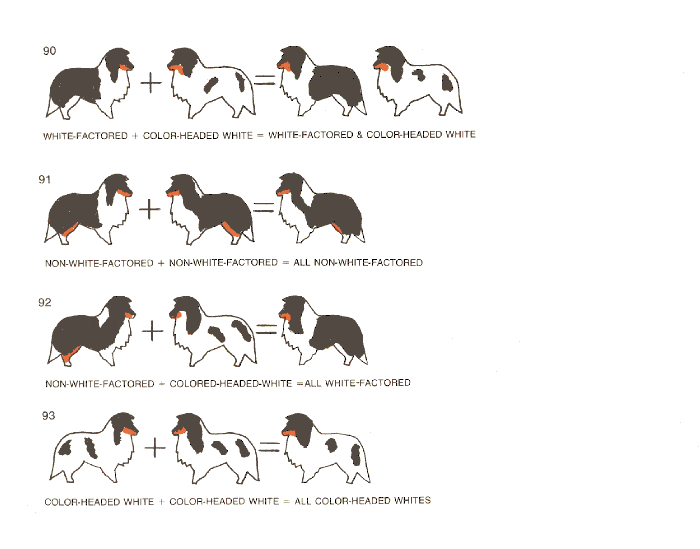 kleurvererving-schema-16