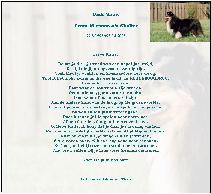 in-memoriam-katie-25-12-2003